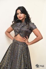 Kamna Singh At Thikka Movie Audio Launch